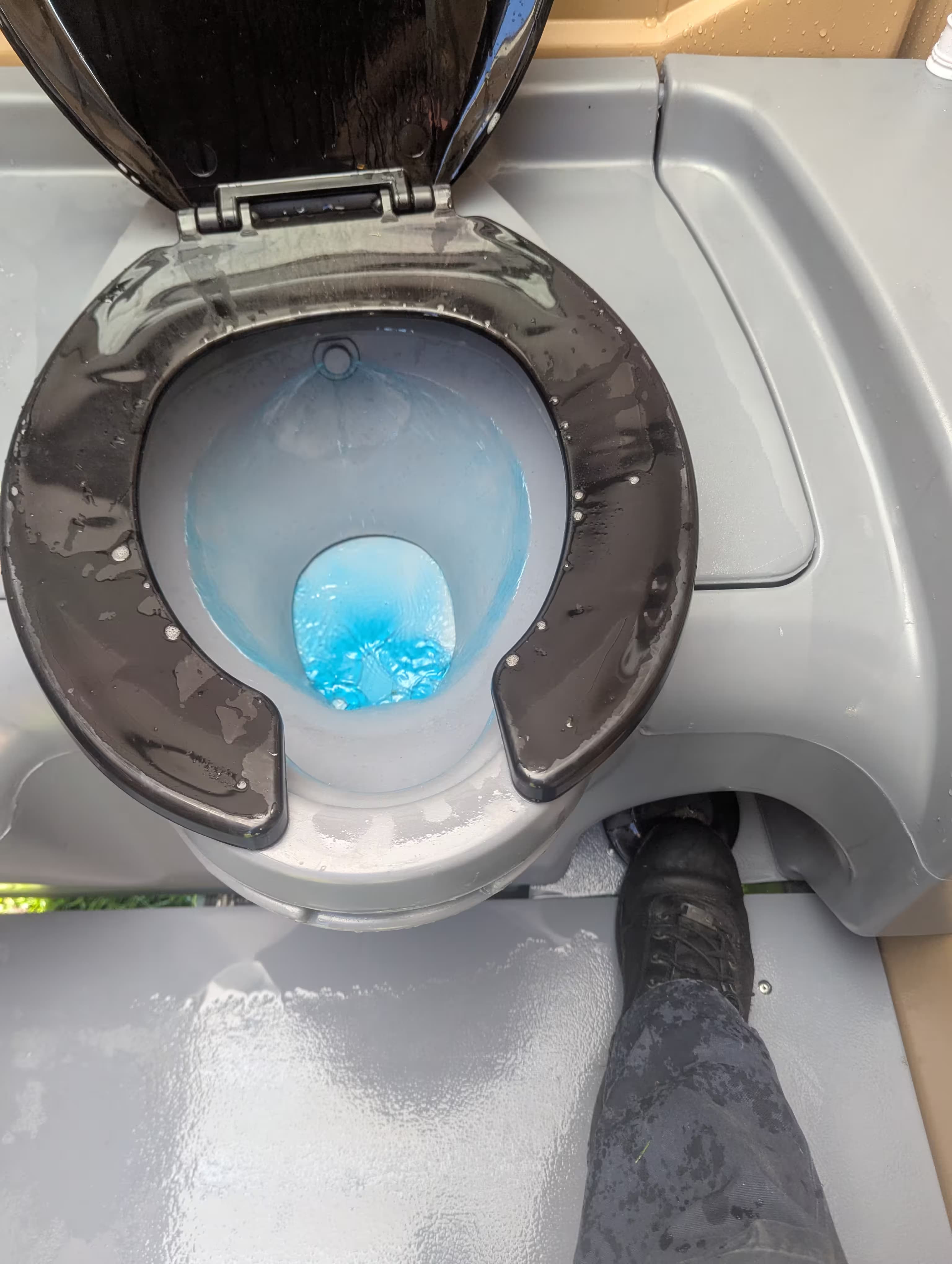 Pump flush mechanism